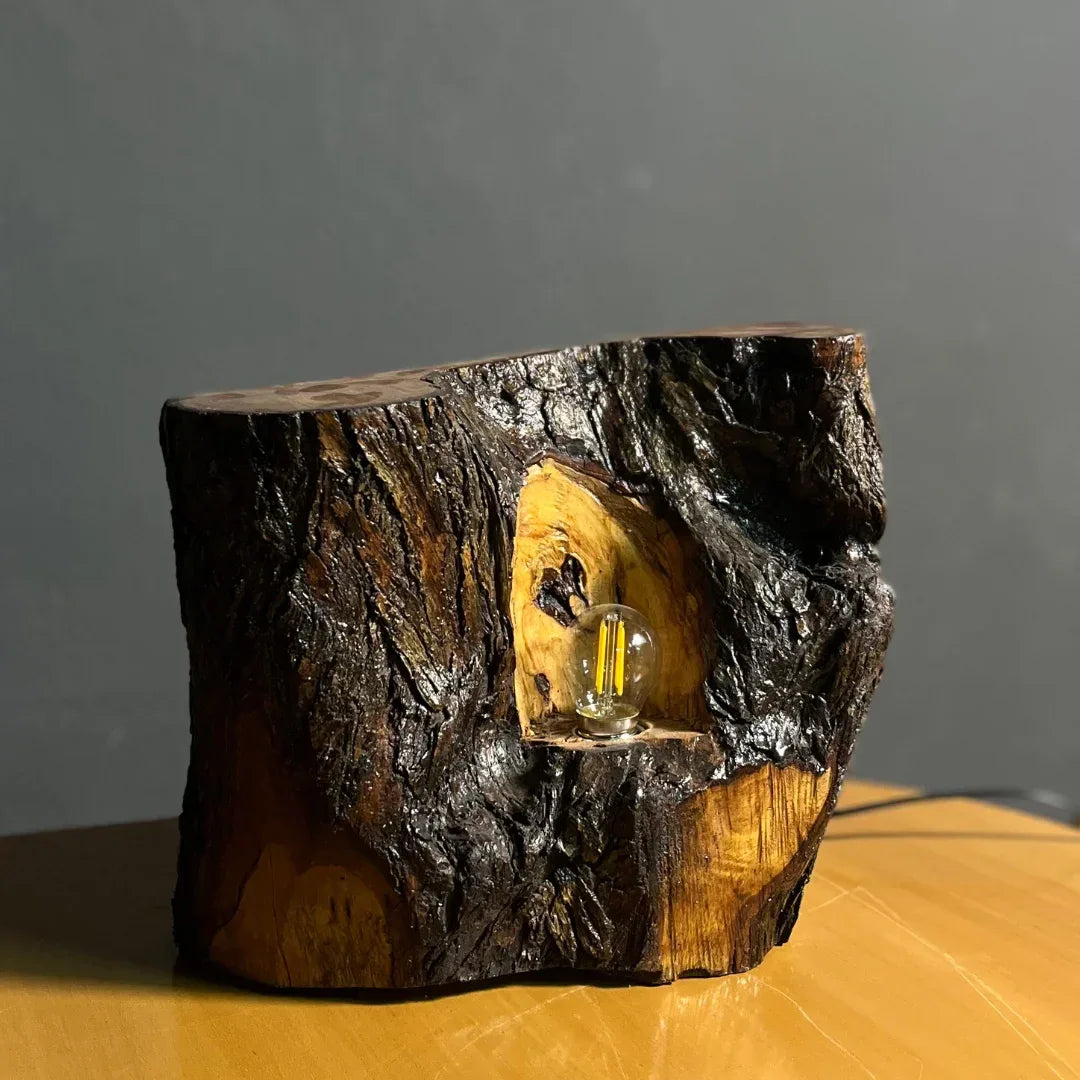 The Cavern Lamp – Handcrafted Live Edge Lamp
