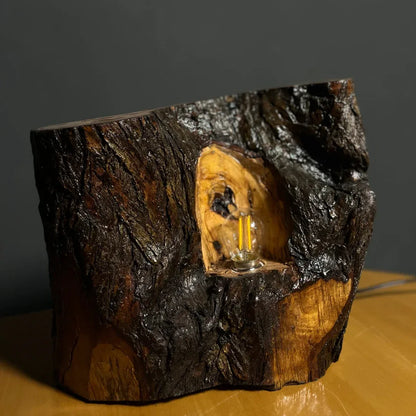 The Cavern Lamp – Handcrafted Live Edge Lamp