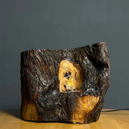 The Cavern Lamp – Handcrafted Live Edge Lamp