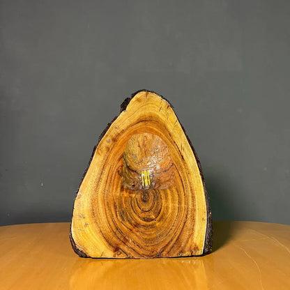 The Summit Lamp – Handcrafted Live Edge Lamp